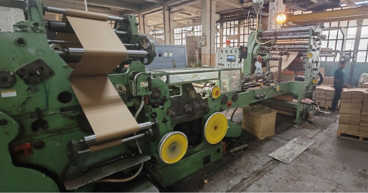 WhatsApp Image 2026-03-15 at 01.50.07 (1)